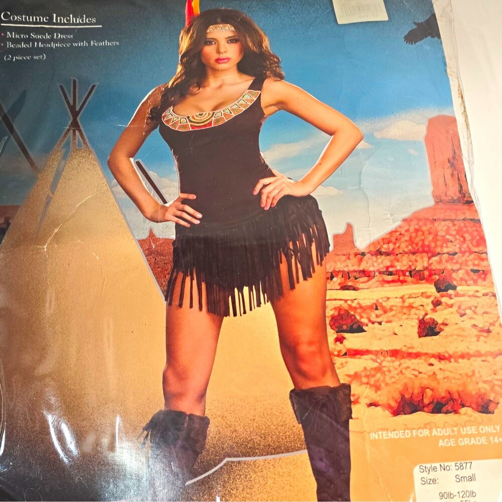 Dreamgirl Micro Suede Fringe Dress Native American Halloween Costume Black S